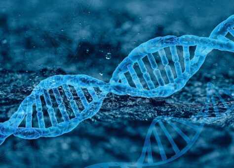 L’ADN de Digitopia